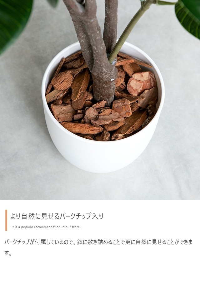 光触媒人工観葉植物 ユーカリ【高さ130cm】
