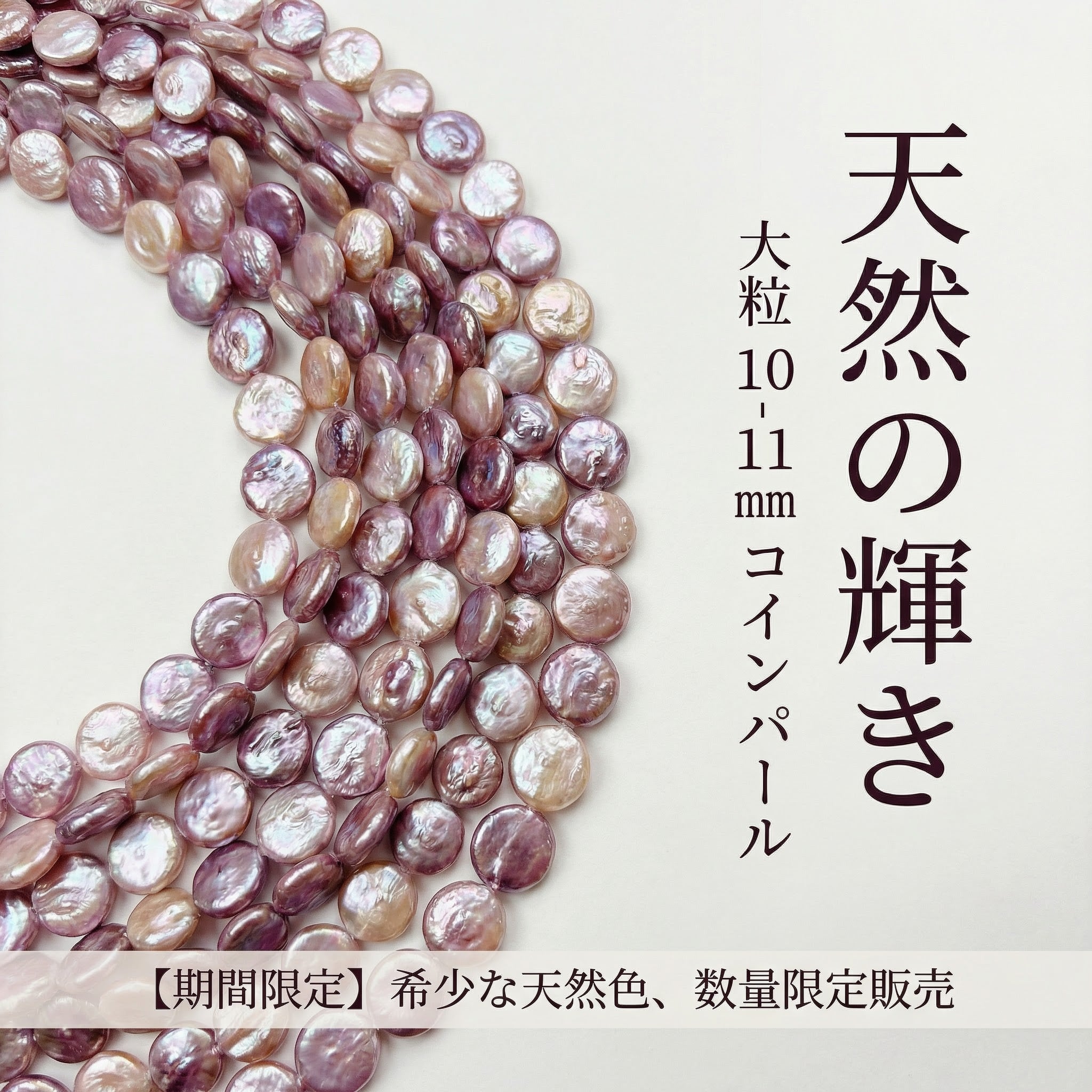 【大粒10-11mm！】天然の輝きが美しい！紫ピンクのコイン型淡水パール（39-40cm）｜ P0003