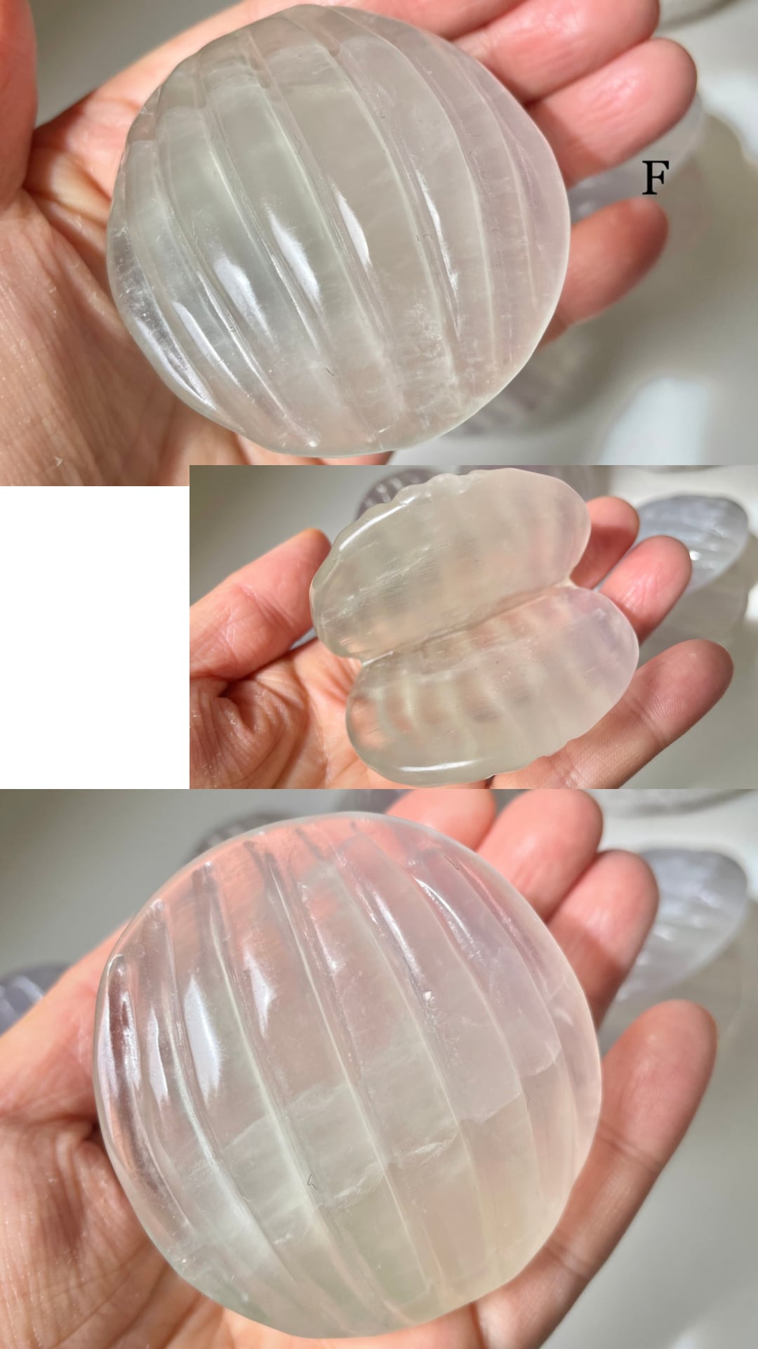 Lavender Fluorite Shell / ラベンダーフローライト　貝
