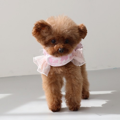 Blossom Shinee Harness(Pink)