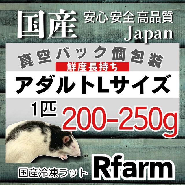 国産冷凍ラットRfarm・アールファームオンラインショップ