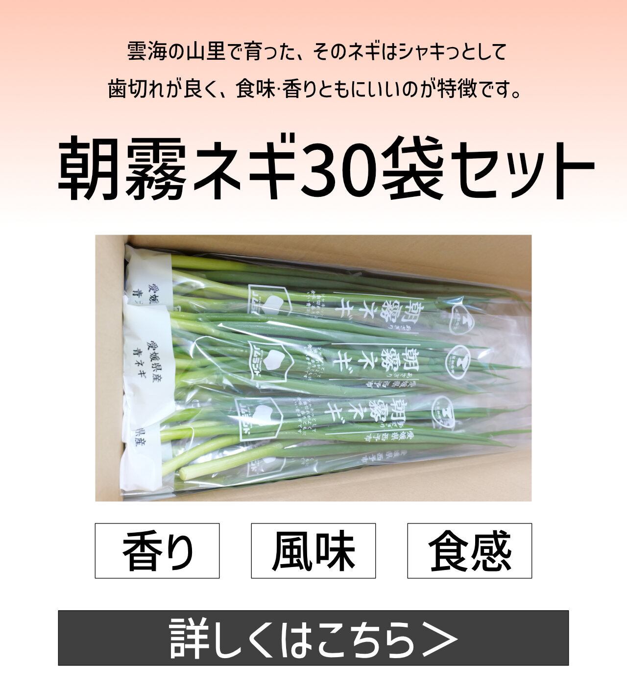 朝霧ネギ 80g×30袋入り | 株式会社ノムランド