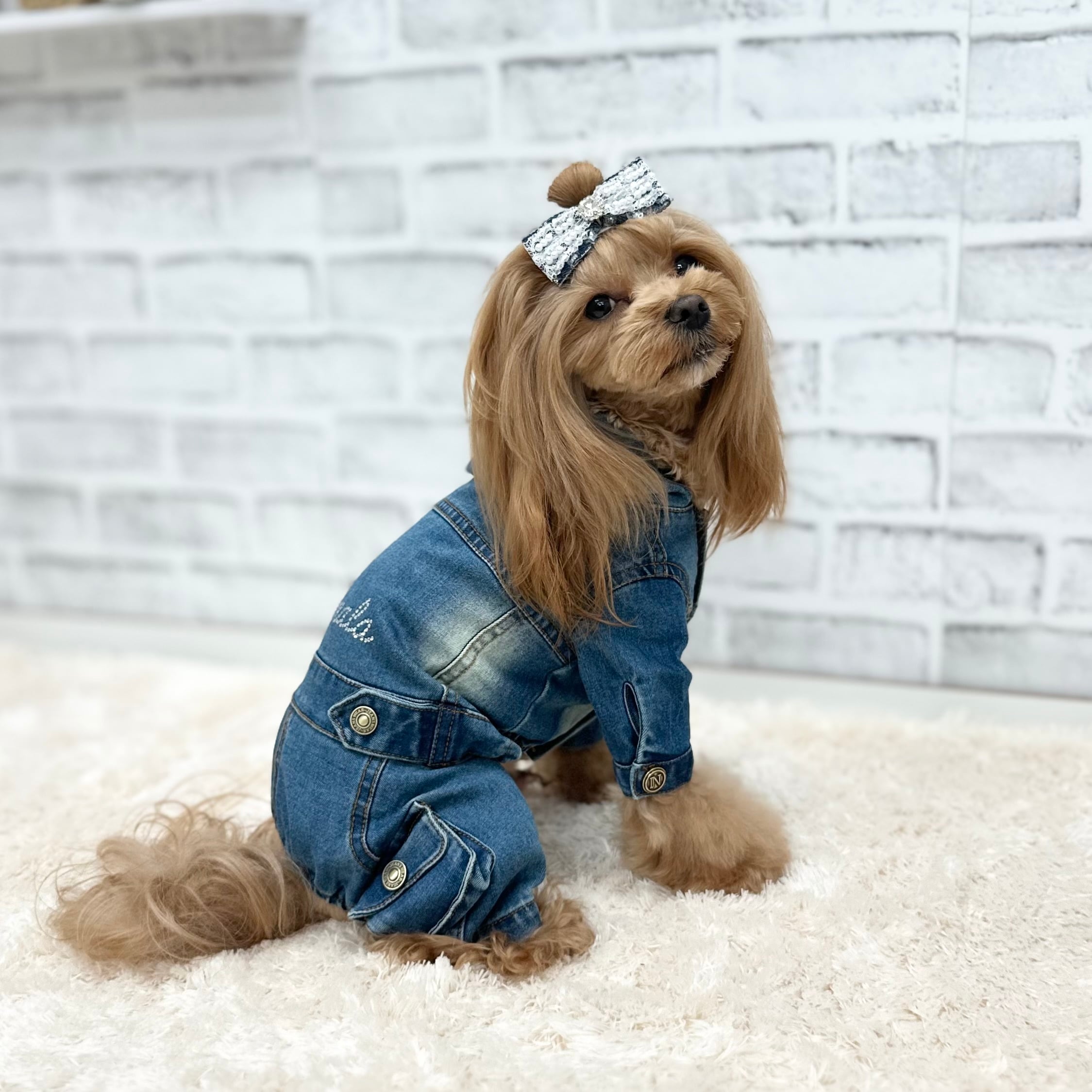 犬服Nanala デニムREON REON~デニム~ 2XL.3XL | Nanala＊