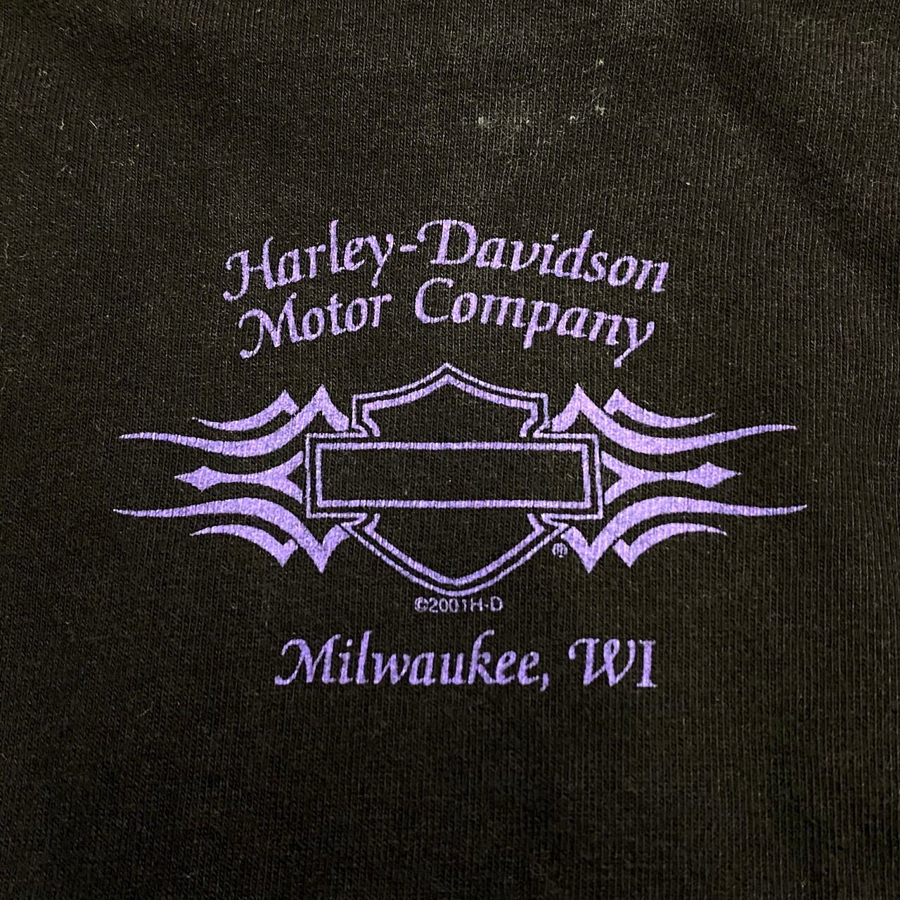 Harley-Davidson ハーレーダビッドソン ファイヤー柄 両面プリント