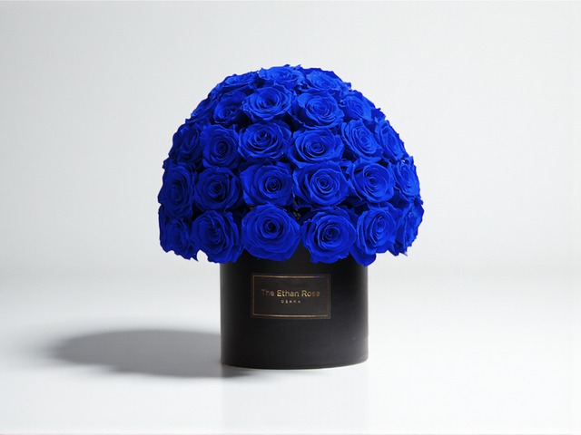 マッシュローズ（青）