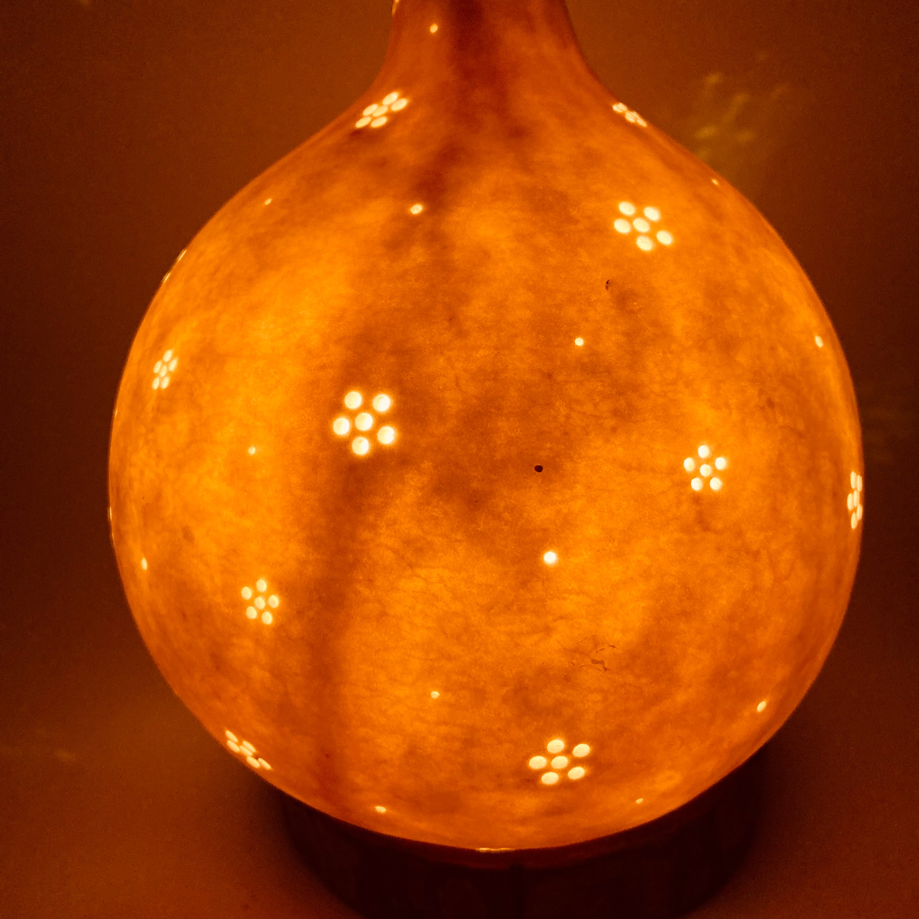 こつぼごけランプ10 | ひょうたんランプ専門店／奥入瀬ランプ工房