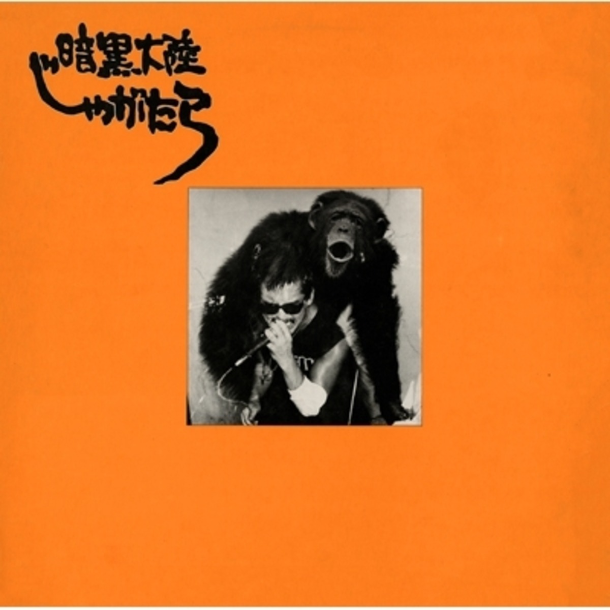 LP】暗黒大陸じゃがたら - 南蛮渡来【完全生産限定盤】 | 北村電機レコード