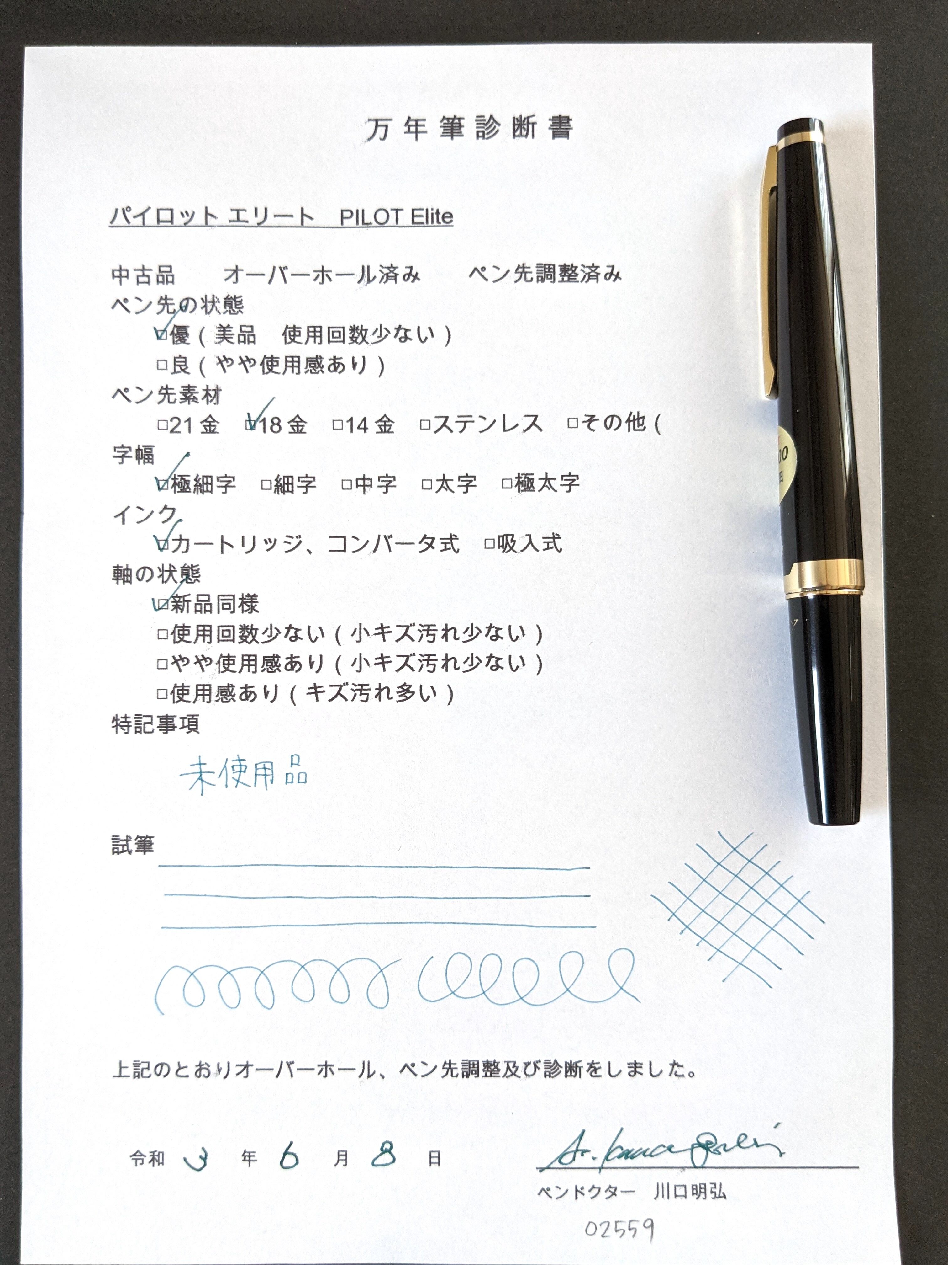 60s パイロットエリート PILOT Elite （POSTING極細字） 18K 02559