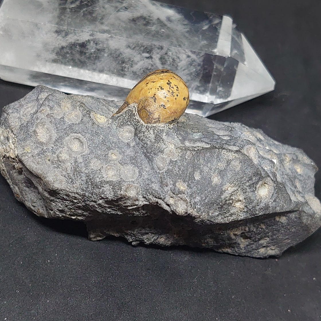 モンゴルゴビ瑪瑙 原石 金銭眼石母岩標本 置物 レア品 ゴビ瑪瑙 ゴビ石  