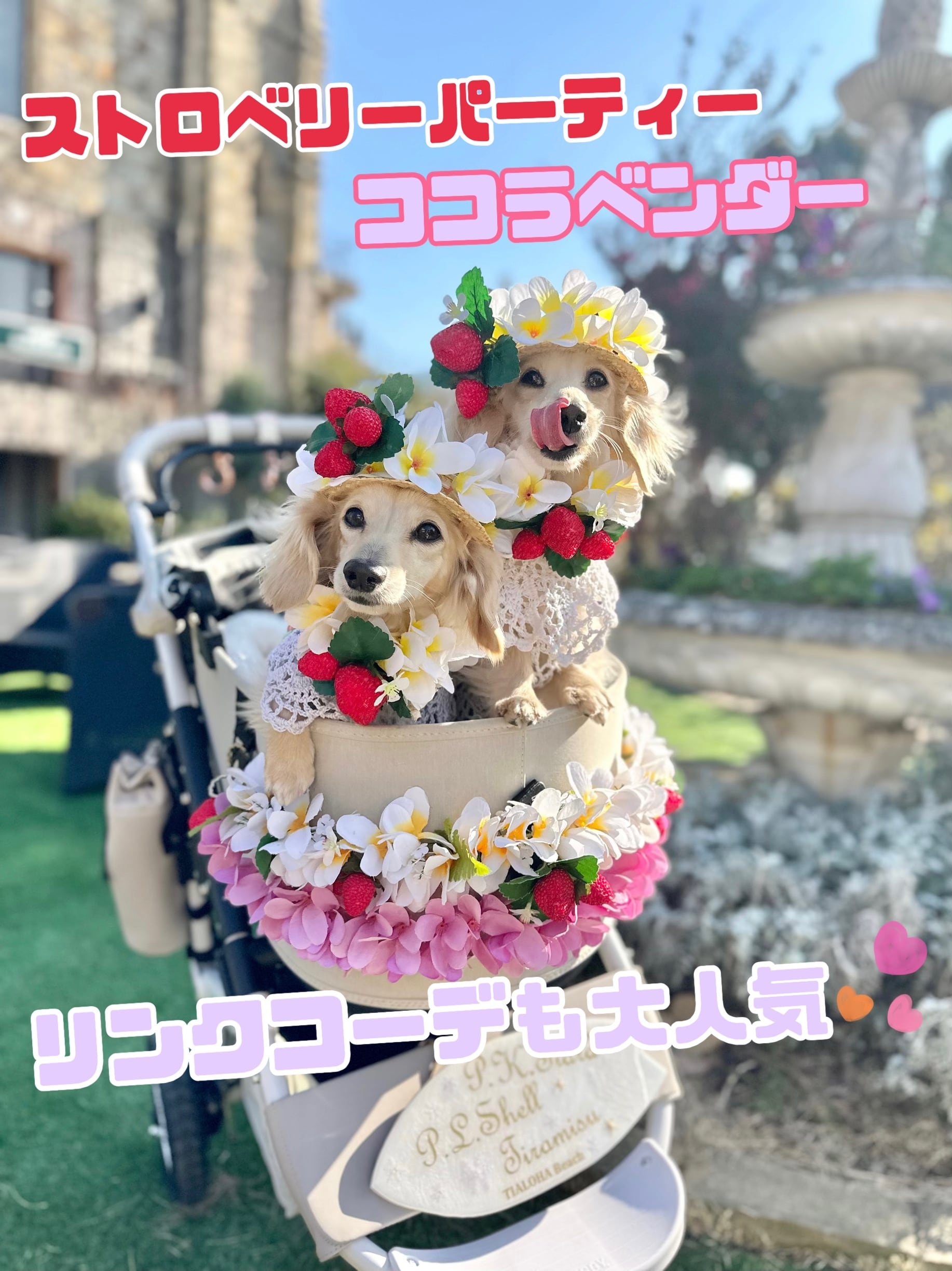 バギーカートレイ | ティアロハハワイ