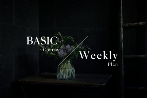 BASIC COURSE｜Weekly Plan｜毎週お届け
