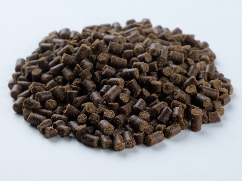 タイHFかぐや媛シリーズ | 小島水産