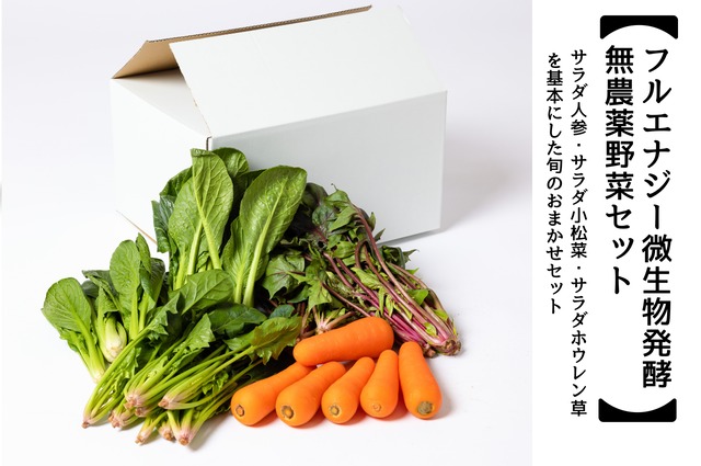 【フルエナジー微生物発酵 無農薬野菜セット（S）（1～2人様分）　(月1発送、定期便)】