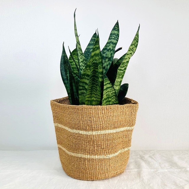 サイザルインテリアかご　カーキ×キナリ（7号鉢サイズ）