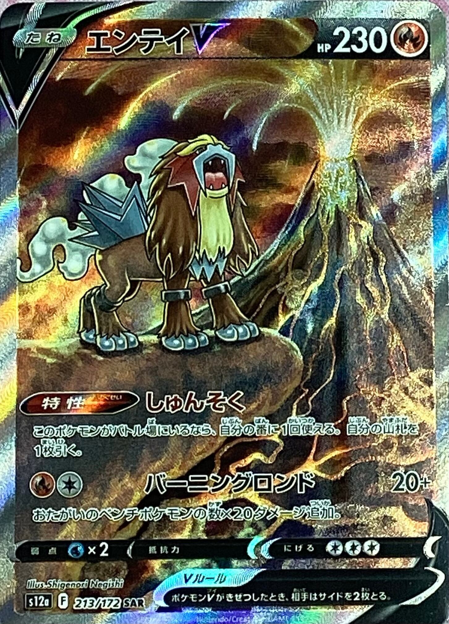 【Bランク】エンテイV(SAR)