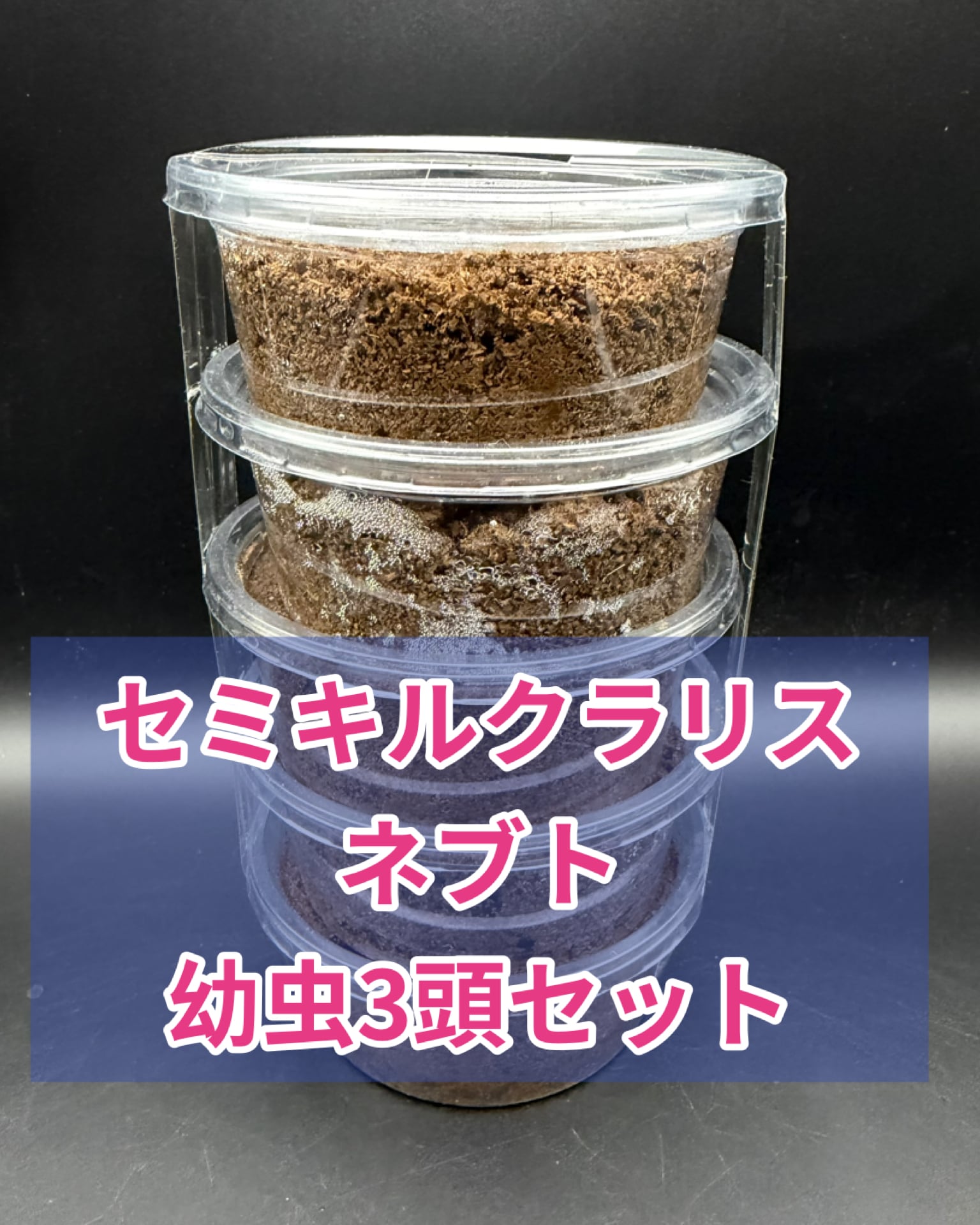G-ZERO 菌糸ボトル 800cc | KPW BASE店