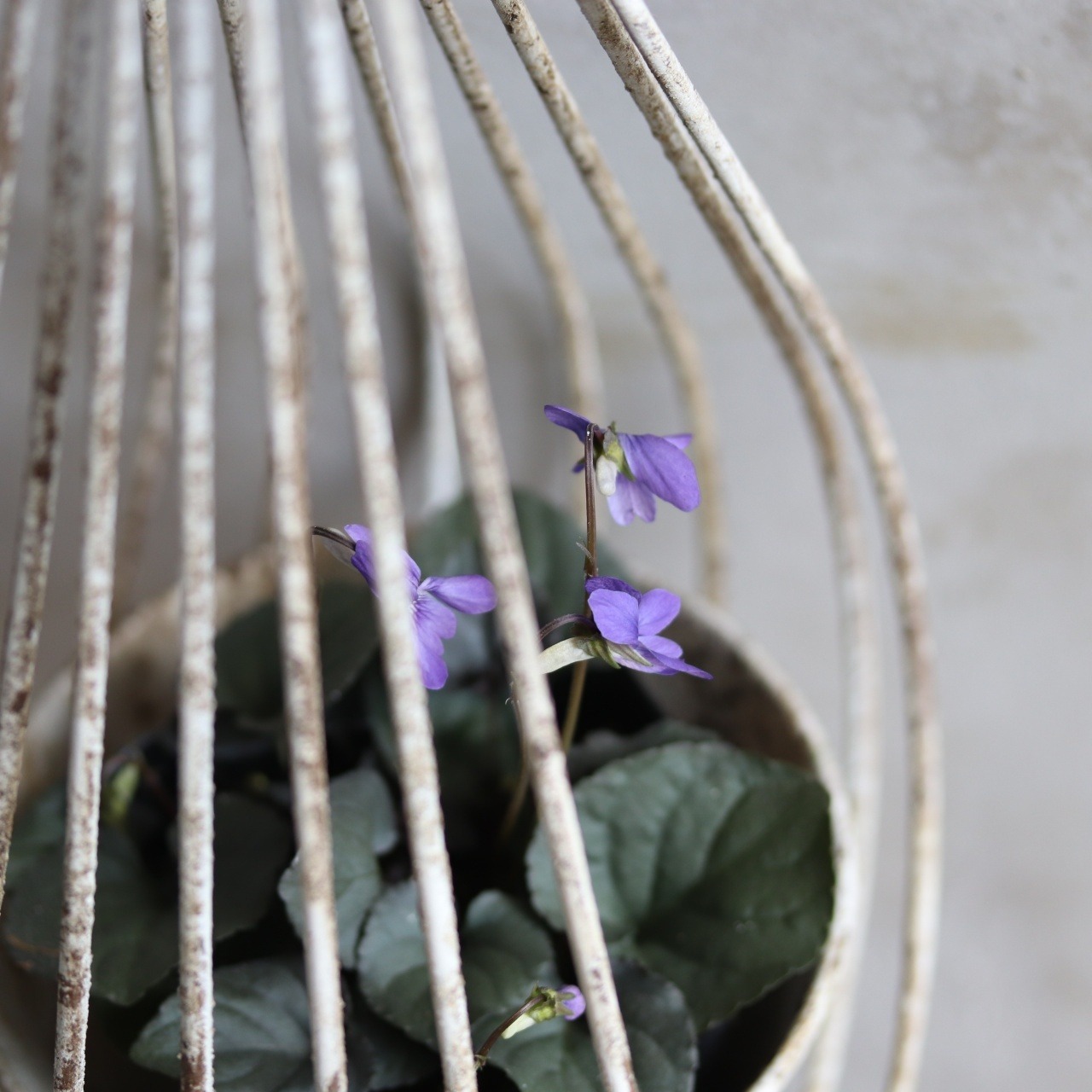 植木鉢　グッドポットハングGY　吊り下げタイプ　シャビーシック穴あり　UF538