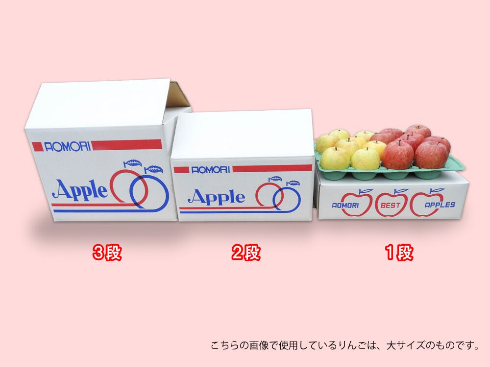 家庭用】りんご 2段（サンフジ・王林詰合せ） | 西田りんご園