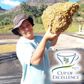 SRF9周年企画 25日までの特別価格! Brazil Cup of Excellence 2025 W&H #6【ブラジル】シティオ・バージン・グランジ農園 - Top of Top ★★★★★ -