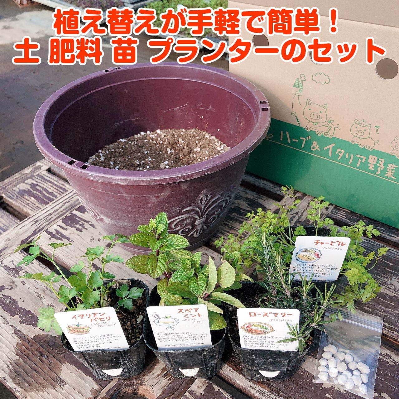 市場 ハーブ セット 送料無料 バジル 栽培キット 観葉植物 プラ製プランター ハーブティー 苗 ハーブガーデン かわいい 寄せ植え ローズマリー