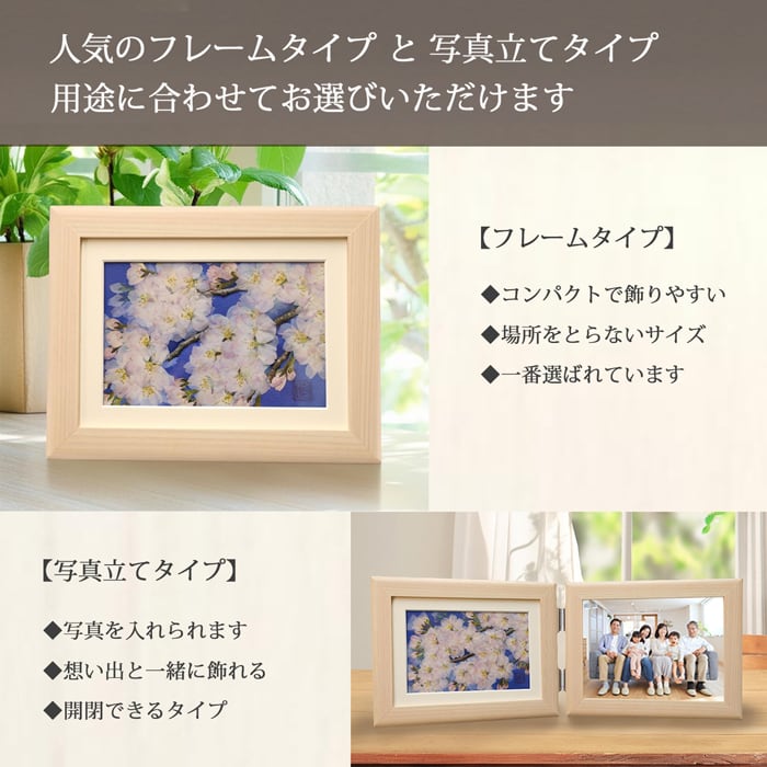 本物のお花の押し花アート｜桜（ソメイヨシノ）フレームギフト | 庄村