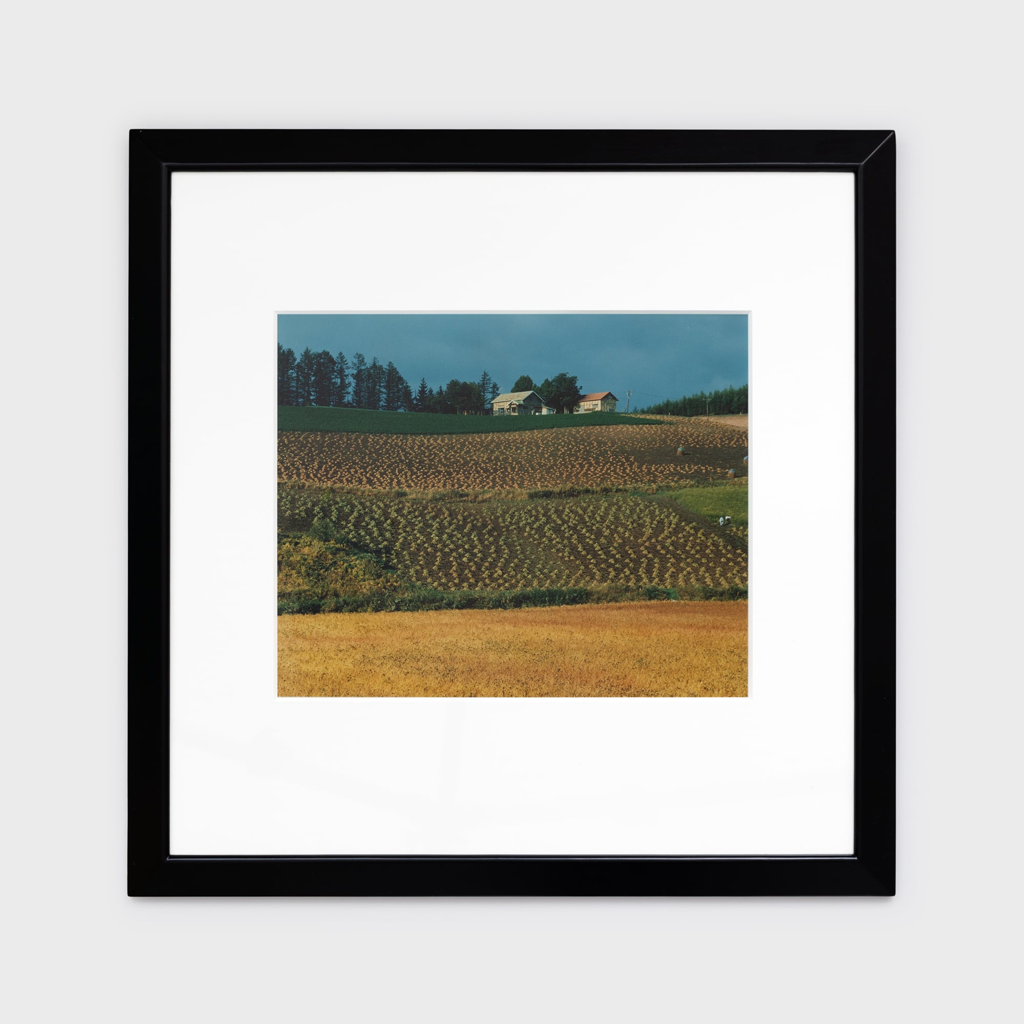 前田真三額装写真「秋の彩り」黒木額〈展示品〉 | 拓真館 TAKUSHINKAN