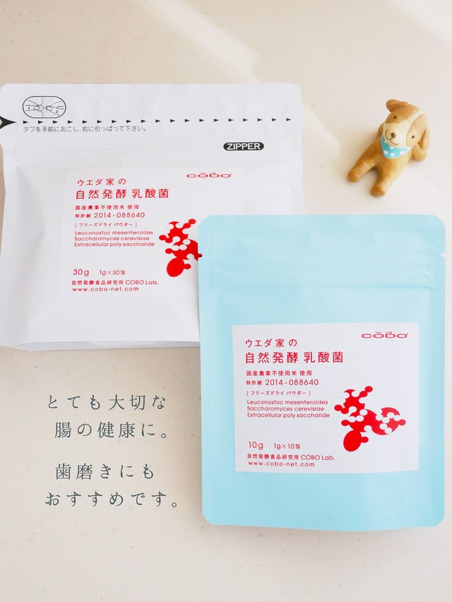 【ウエダ家さん】お米由来の植物性自然発酵・乳酸菌  【 1g×30包】