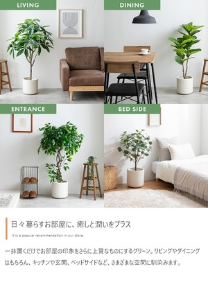 観葉植物 ユーカリ フェイクグリーン 光触媒人工観葉植物 高さ85cm