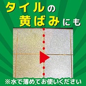 サンポール (マイナスイオン) トイレ洗剤 尿石除去 500mL