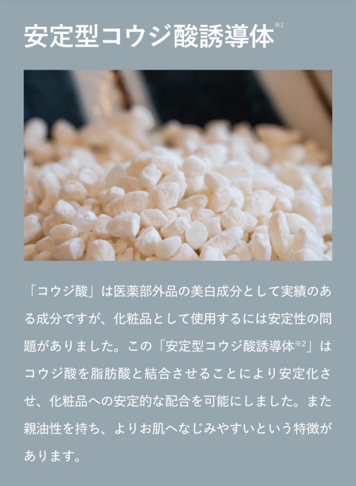 カリグラム RT+KOJIBRIGHT RTコジブライト | 予防医療エムアンドエー