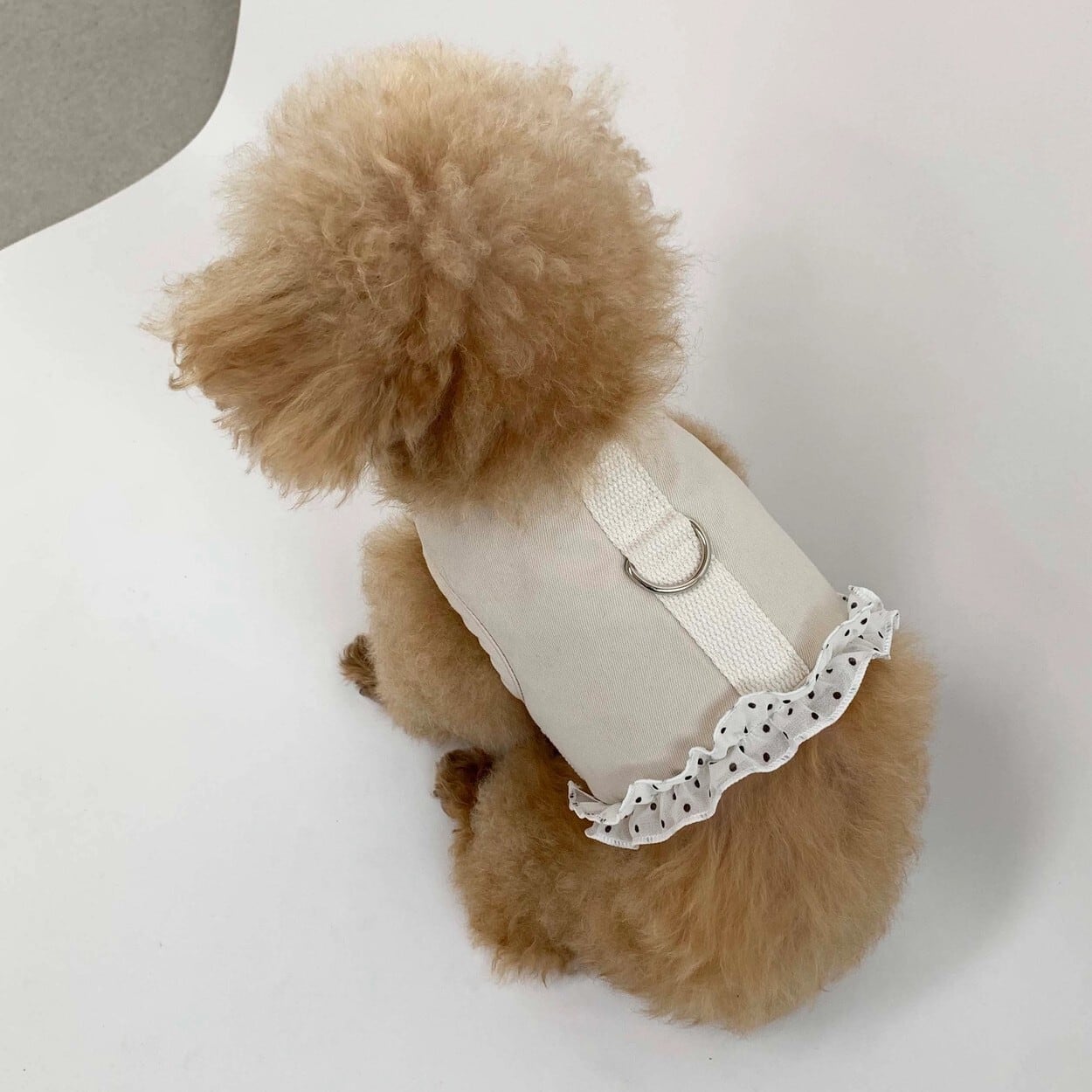 DOG WEAR | LUANA DOG