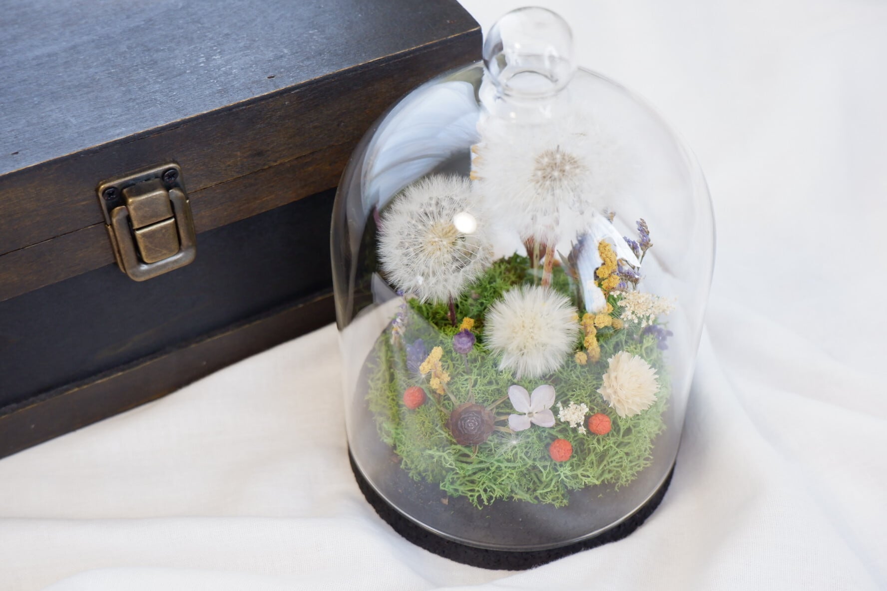 ボトルフラワー LL たんぽぽの綿毛 | MITSUBAKOBO