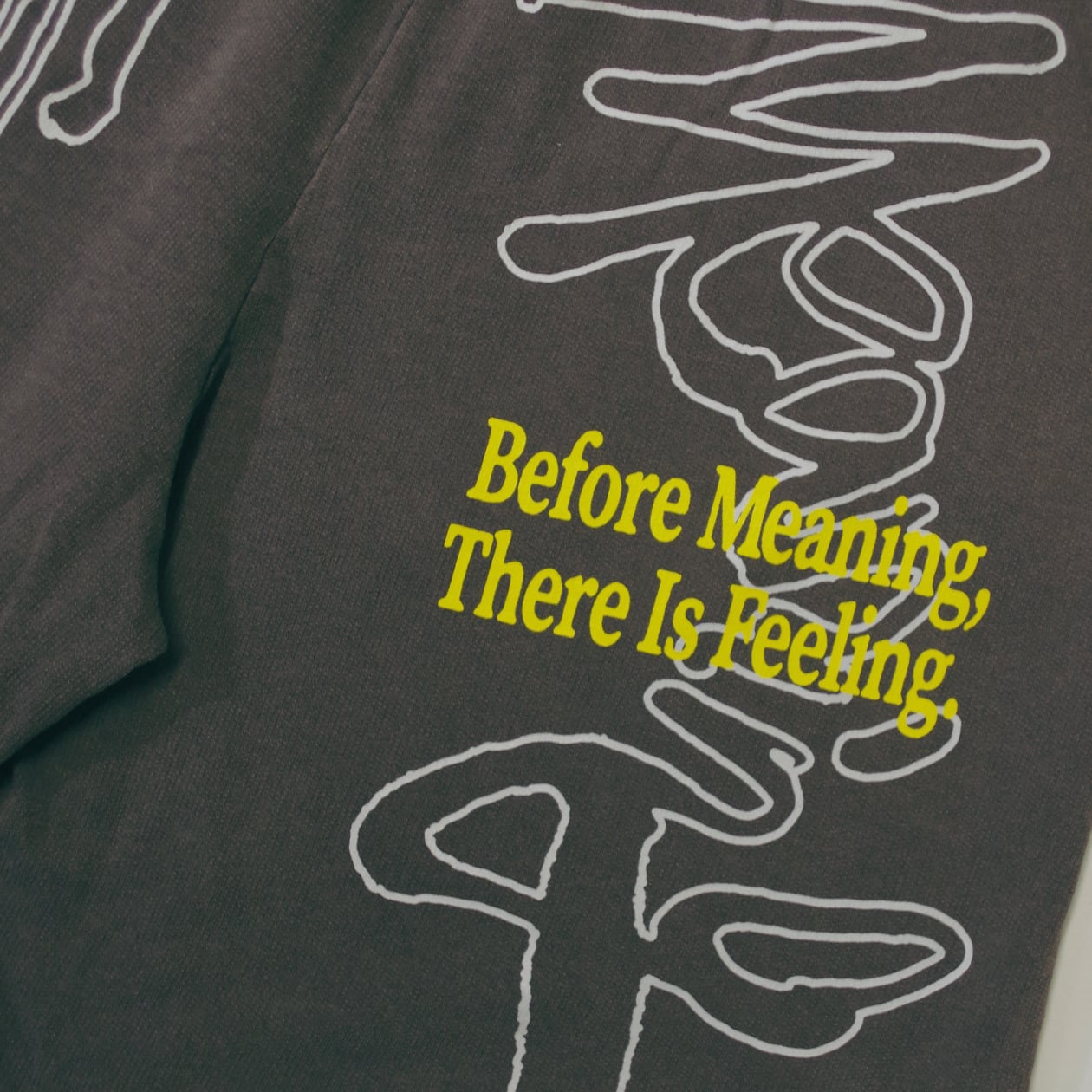 Shorts【No Meaning】 | HOME ECONOMICS EXPERIMENT