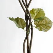 ウンベラータ 150㎝［人工観葉植物・フェイクグリーンT］