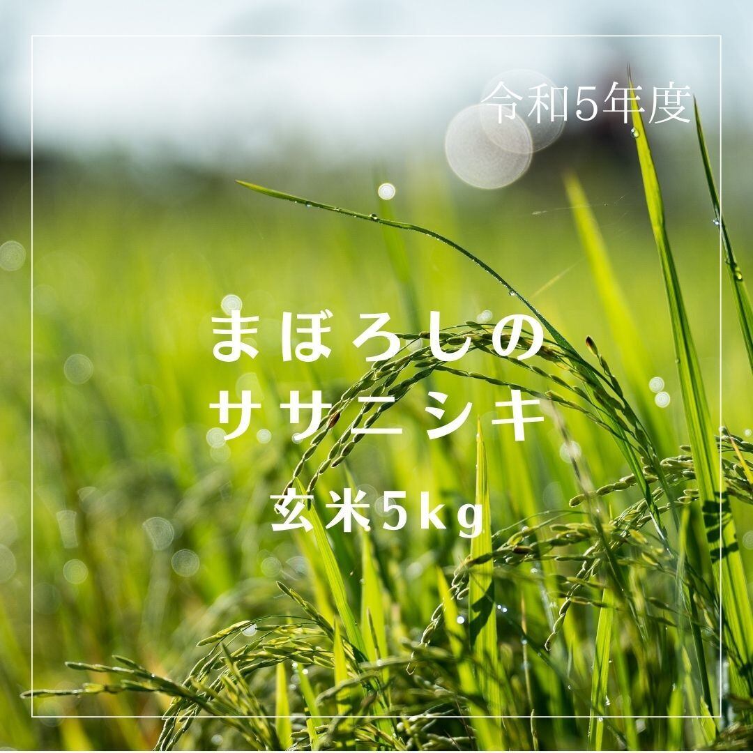 自然栽培ササニシキ（プレミアム10年以上）(玄米5kg)☆無肥料・無農薬☆