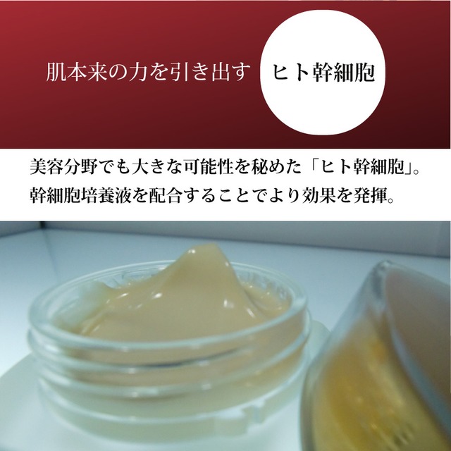 大セレブ クリームDX クリーム｜美白 スキンケア｜ヒト幹細胞 幹細胞  