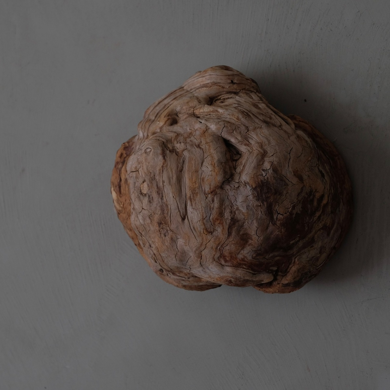 Tree burl