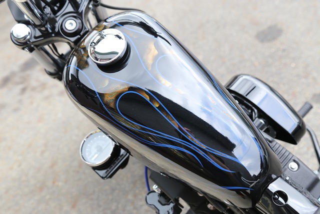 2022 XL1200N Custom "P-Black Rock"