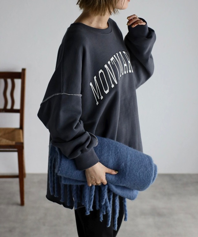 裏起毛ビッグロゴスウェット