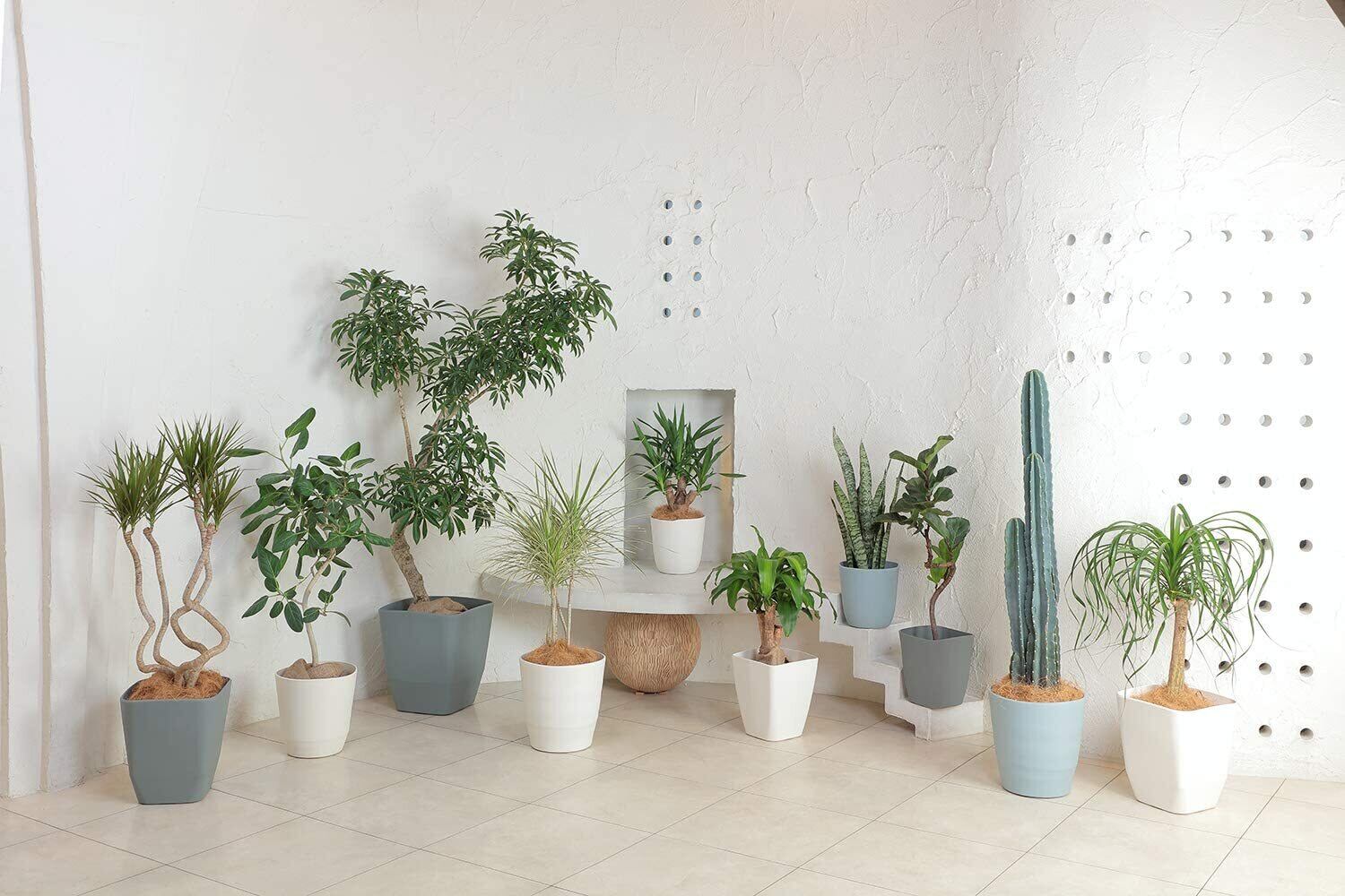 BIBILAB ビザールプランツラック LPR-800-WH メタル ホワイト BIBILAB