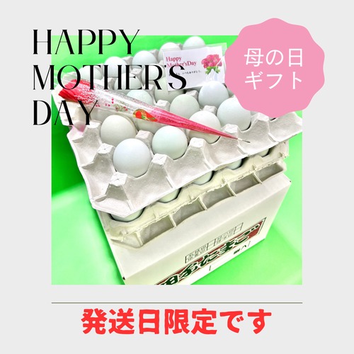 【Happy　Mother′s　Day】早割　母の日ギフト！！10％OFF【～4/30（火）までのご注文限定】　絶品たまごギフトセット  緑の一番星　75個（25個入り×3段）