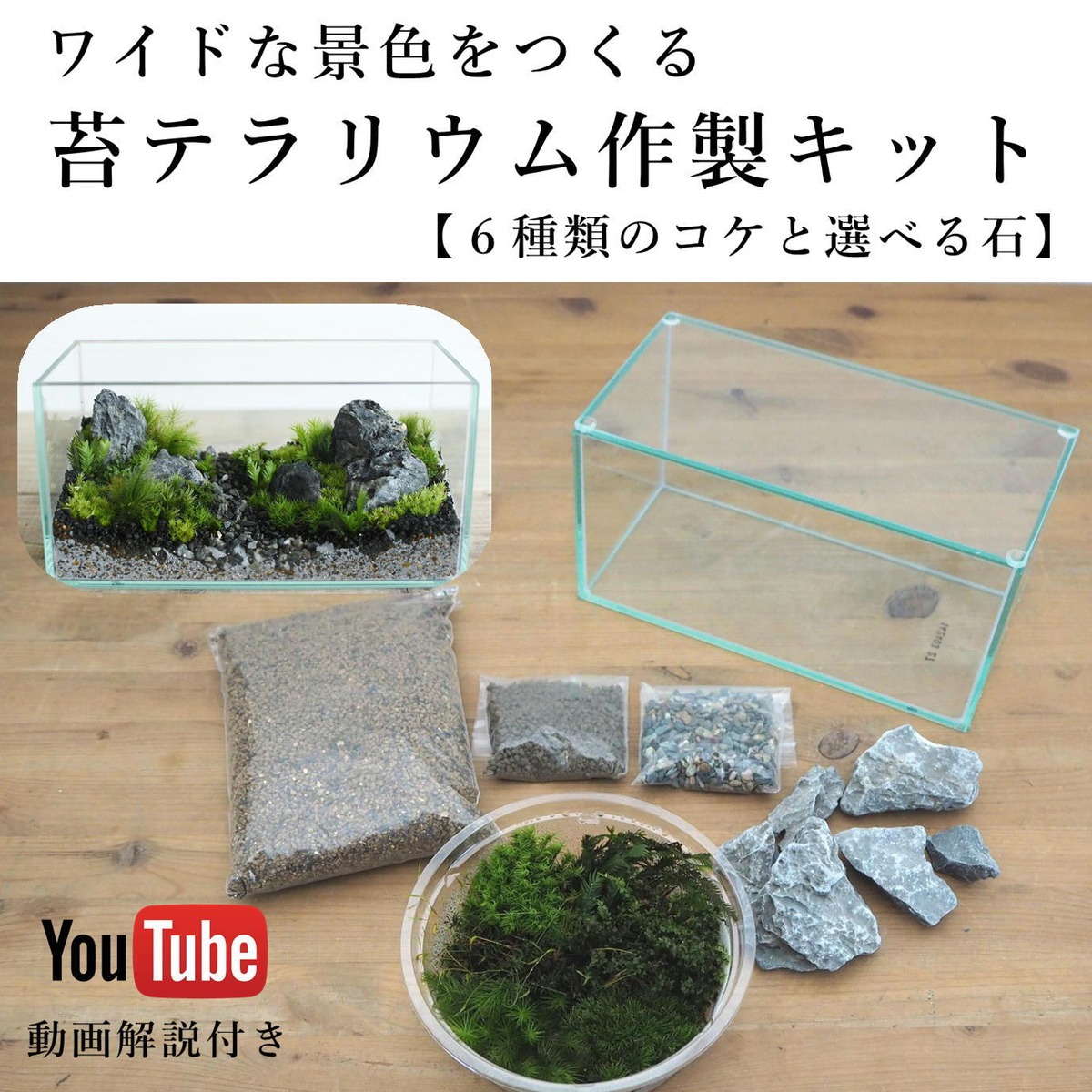 作製キット】景色をデザインする ワイドなミニ水槽で作る苔テラリウム 