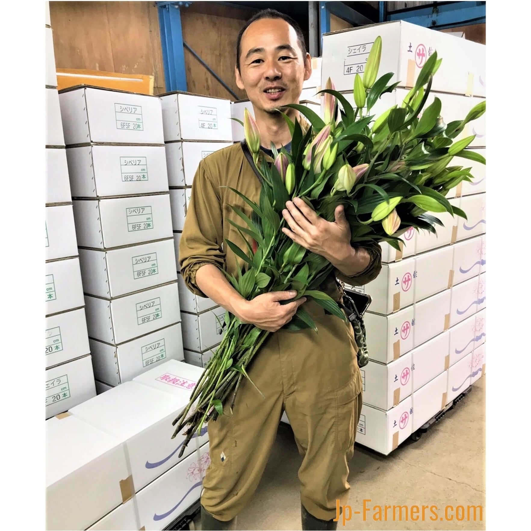 プロご用達 有名生産者が作るオリエンタルユリ シベリア 5本 Jp Farmers Com プロご用達 有名生産者が作るオリエンタルユリ シベリア 5本 Jp Farmers Com