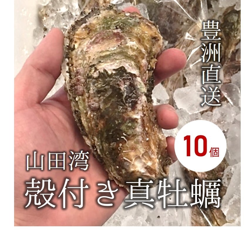 殻付き牡蠣 カキ 生食用 三陸 山田湾 約150-200g 特大サイズ 計10個 真牡蠣 マガキ【山田カキ30x10】 冷蔵