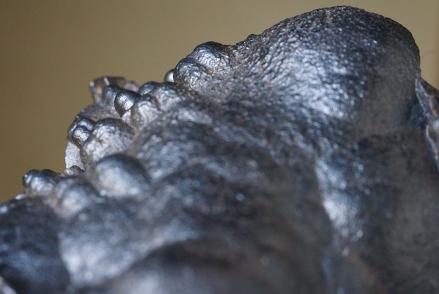 鍾乳状ヘマタイト Hematite