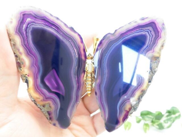 【瑪瑙】　ゴージャス蝶々　no.1