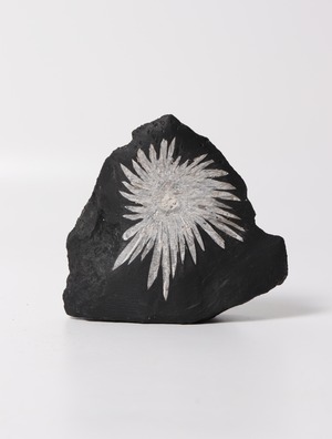 CHRYSANTHEMUM STONE FORMED
