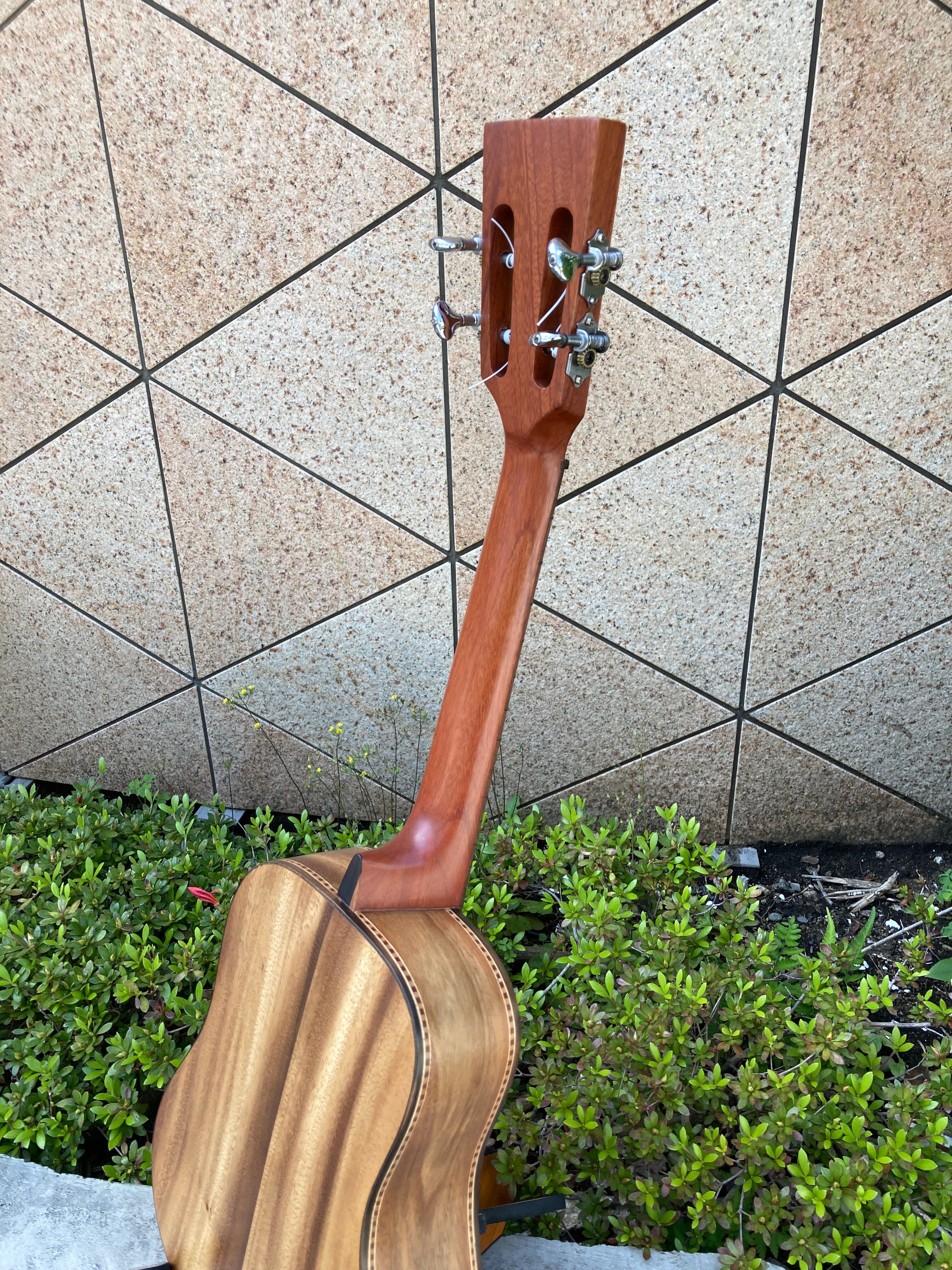Acacia Bell Shape tenor with Double sound hole | Cedar Wood's