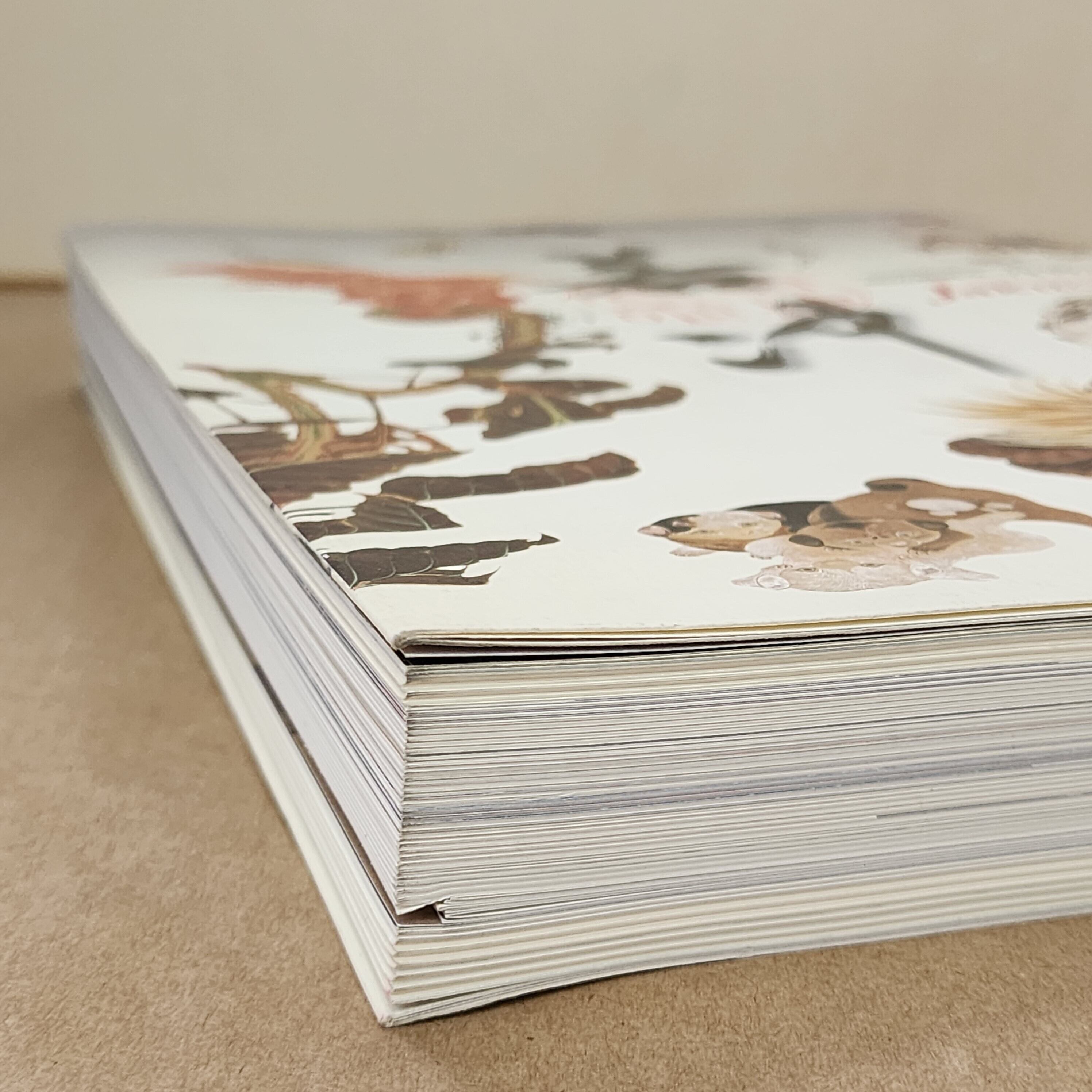 没後200年 若冲 特別展覧会 図録 ｜古本 ｜伊藤若冲 | 古本とうつわと