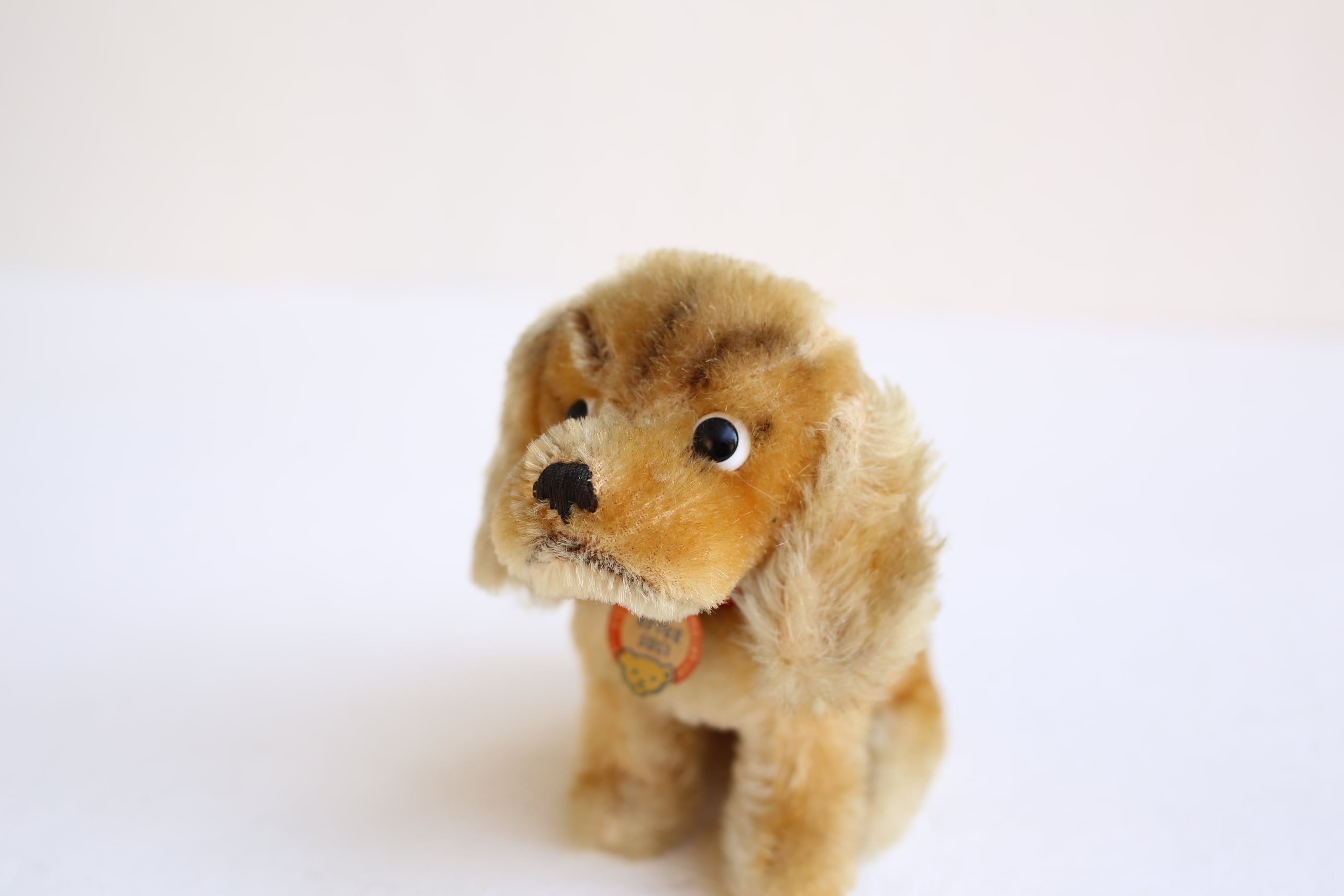 ヴィンテージSteiff 　コッカースパニエル　「Revue Susi 」 Next-to-Smallest-Sister-Steiff
